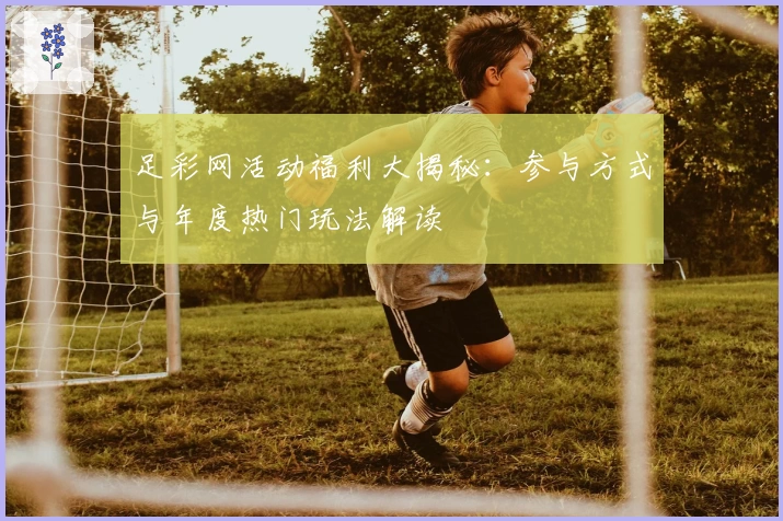 足彩网活动福利大揭秘：参与方式与年度热门玩法解读