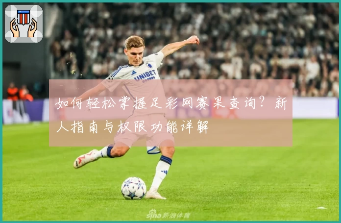 如何轻松掌握足彩网赛果查询?新人指南与权限功能详解
