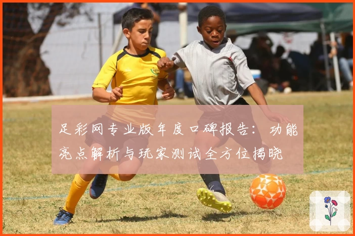 足彩网专业版年度口碑报告:功能亮点解析与玩家测试全方位揭晓